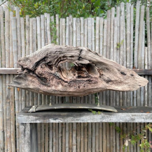 Escultura Nativa #22