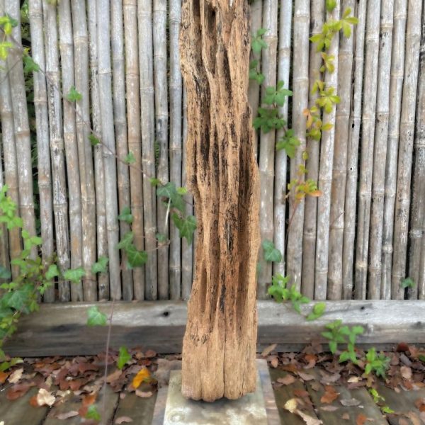 Escultura Nativa #65