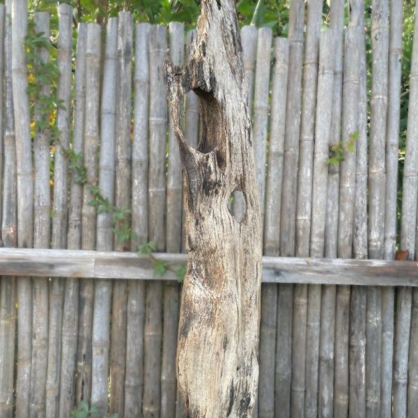 Escultura Nativa #28