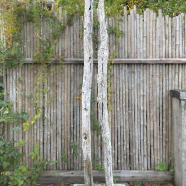 Escultura Nativa #68