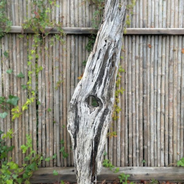 Escultura Nativa #67