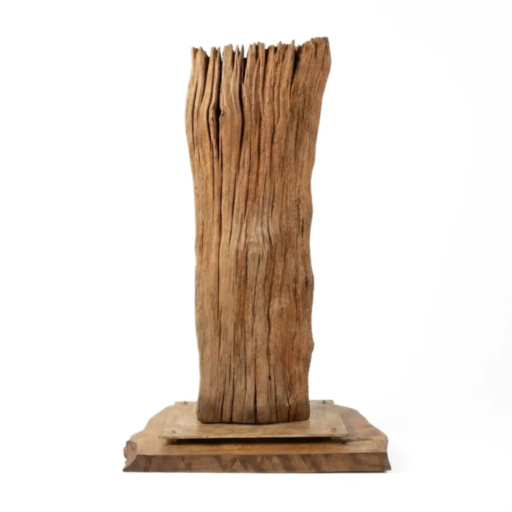 Escultura Nativa #91 Escultura Nativa #91