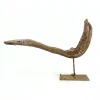 esclutura-nativa-50-0