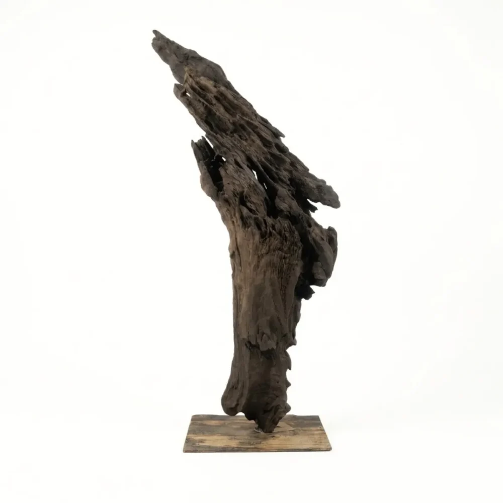Escultura Nativa #75