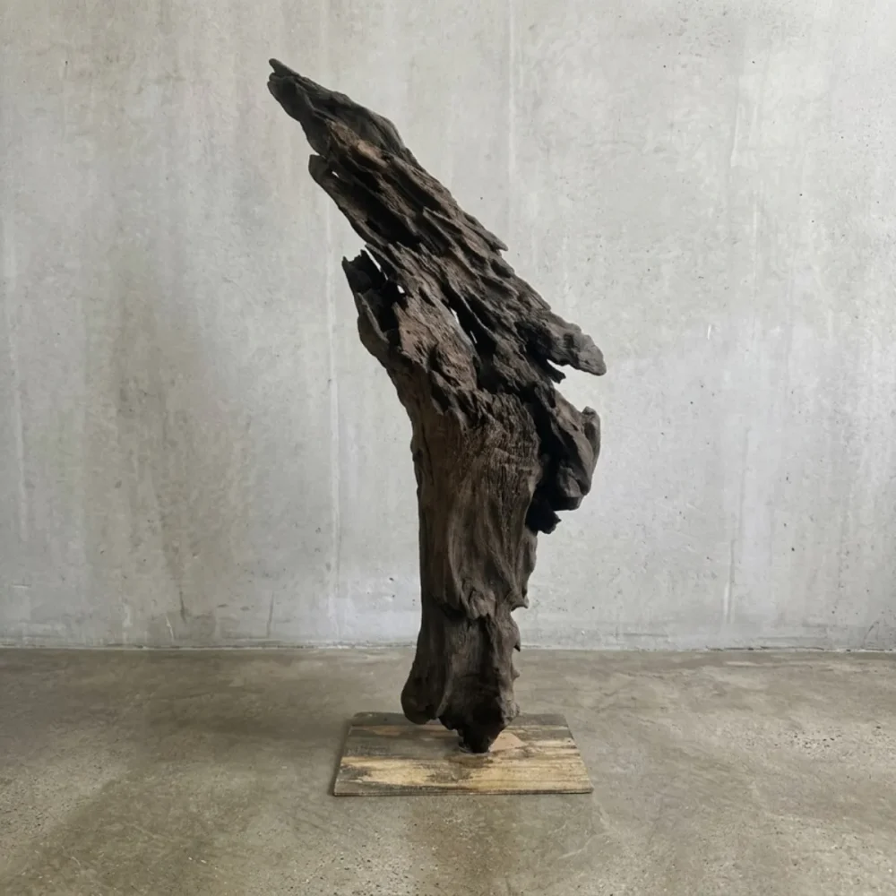 Escultura Nativa #75