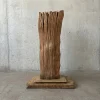 esclutura-nativa-91-2