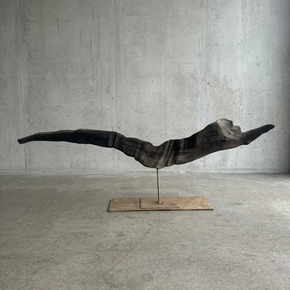 Escultura Nativa #40 Escultura Nativa #40