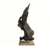 Escultura Nativa #59